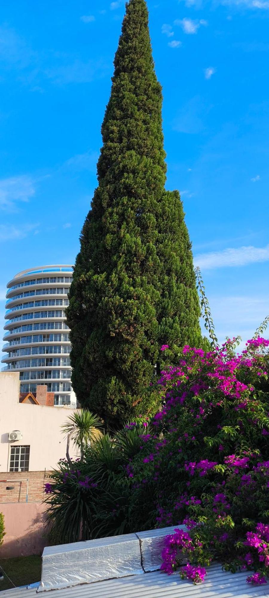 Centro II Διαμέρισμα Βενάδο Τουέρτο Εξωτερικό φωτογραφία